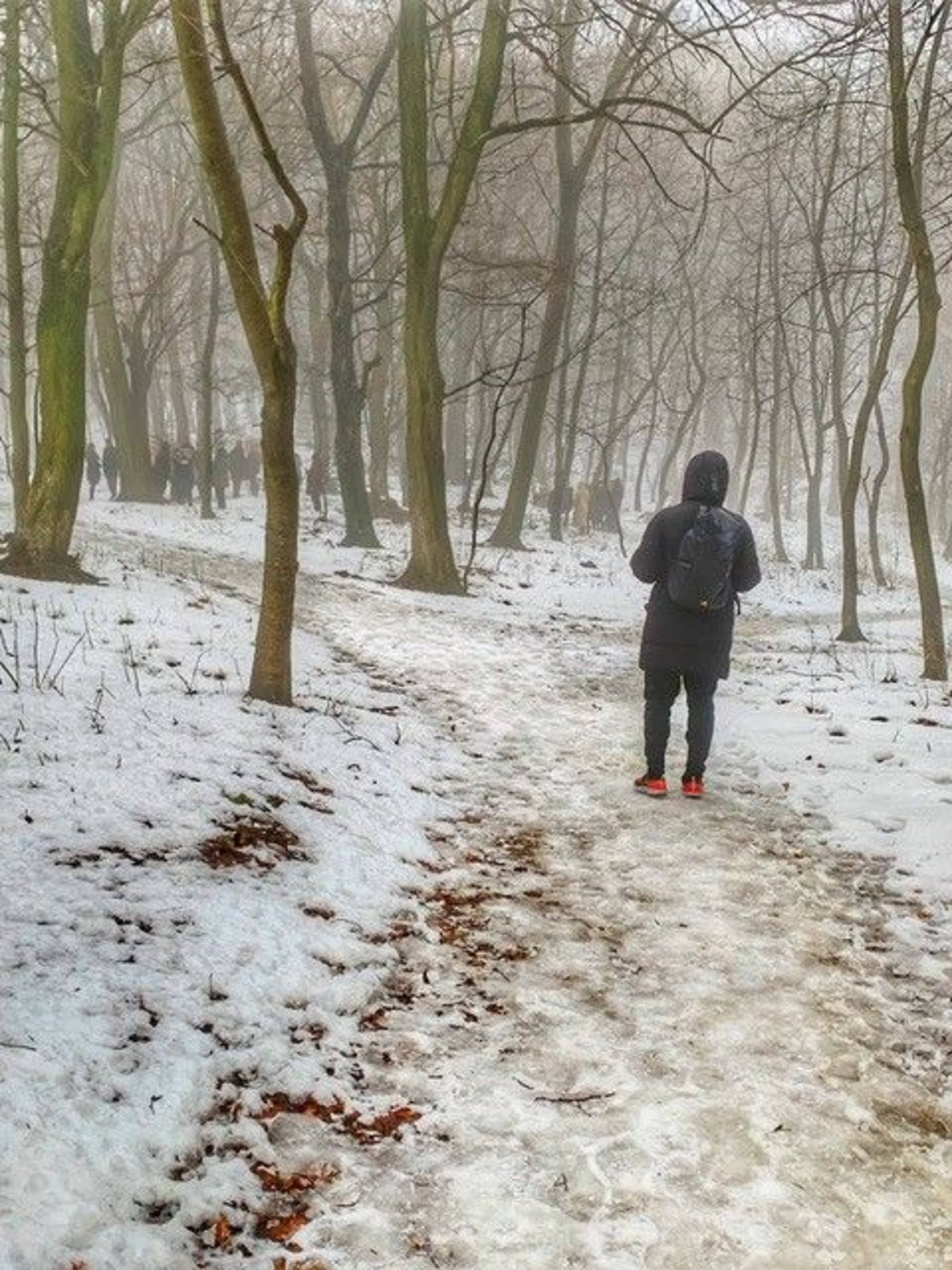 Beisetzungen im Winter.jpg