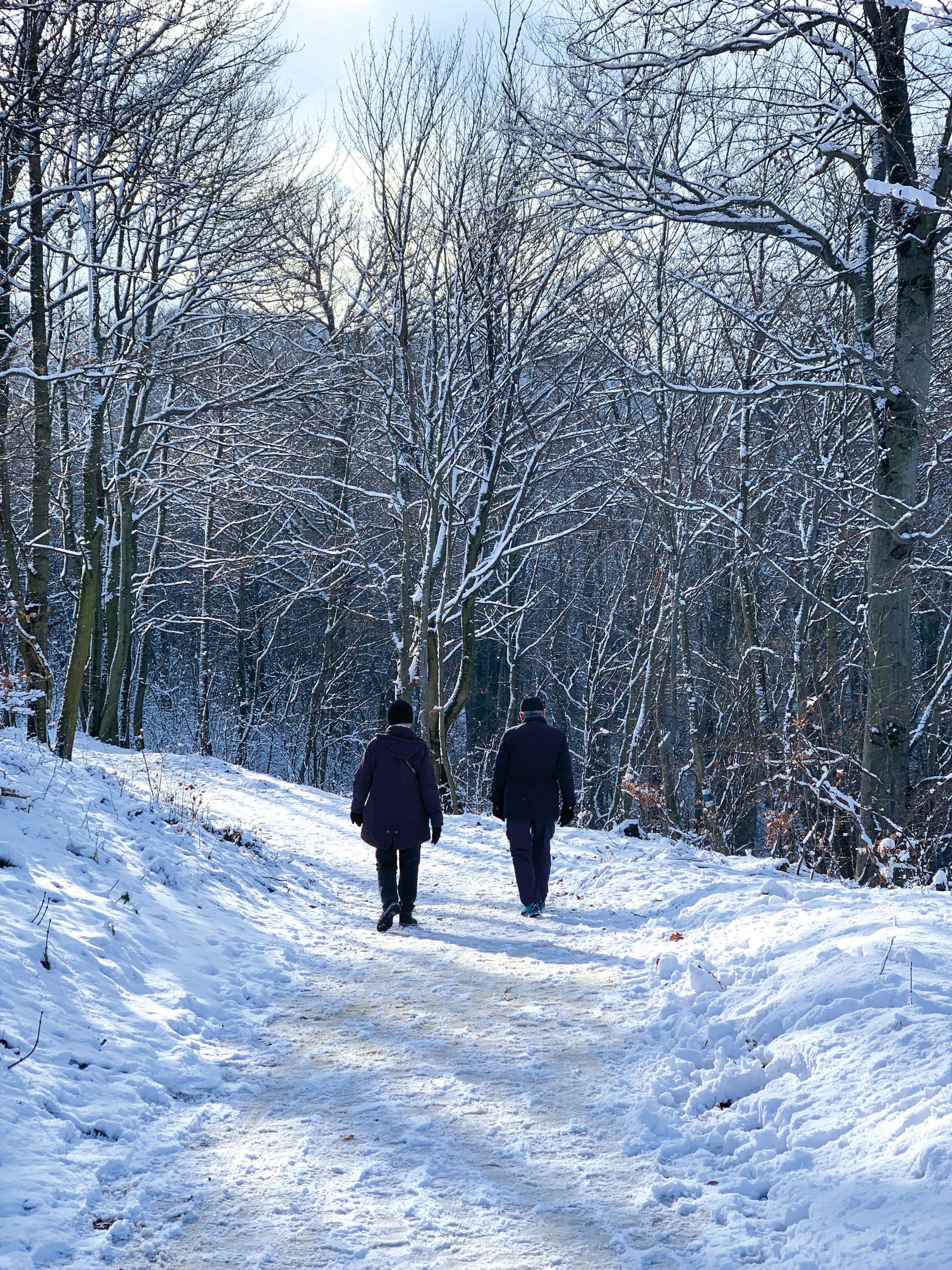 WKB_Winter_Weg_IMG_7619_bearb_WEB.jpg