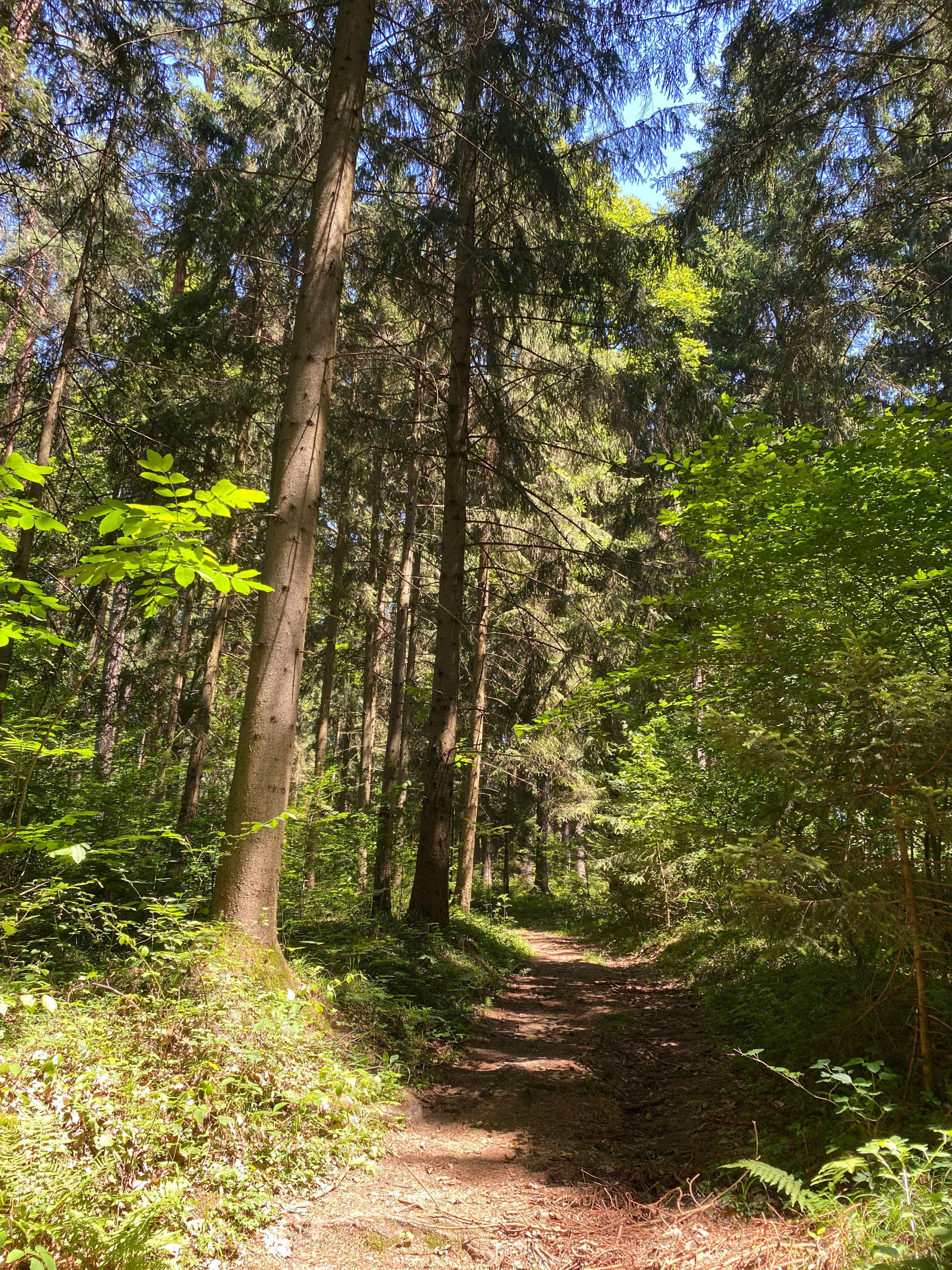 KAI_Sommer_IMG_5772_2.jpg