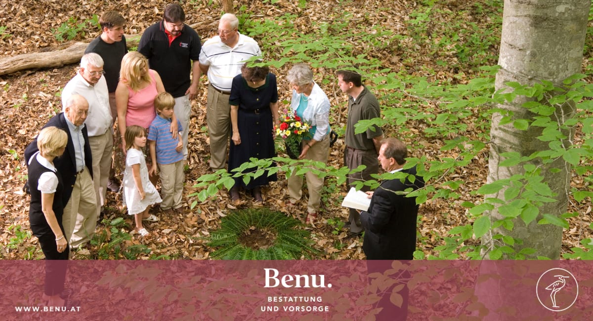 Description of my image