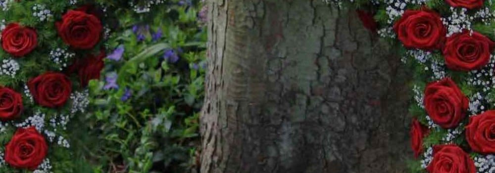 Description of my image