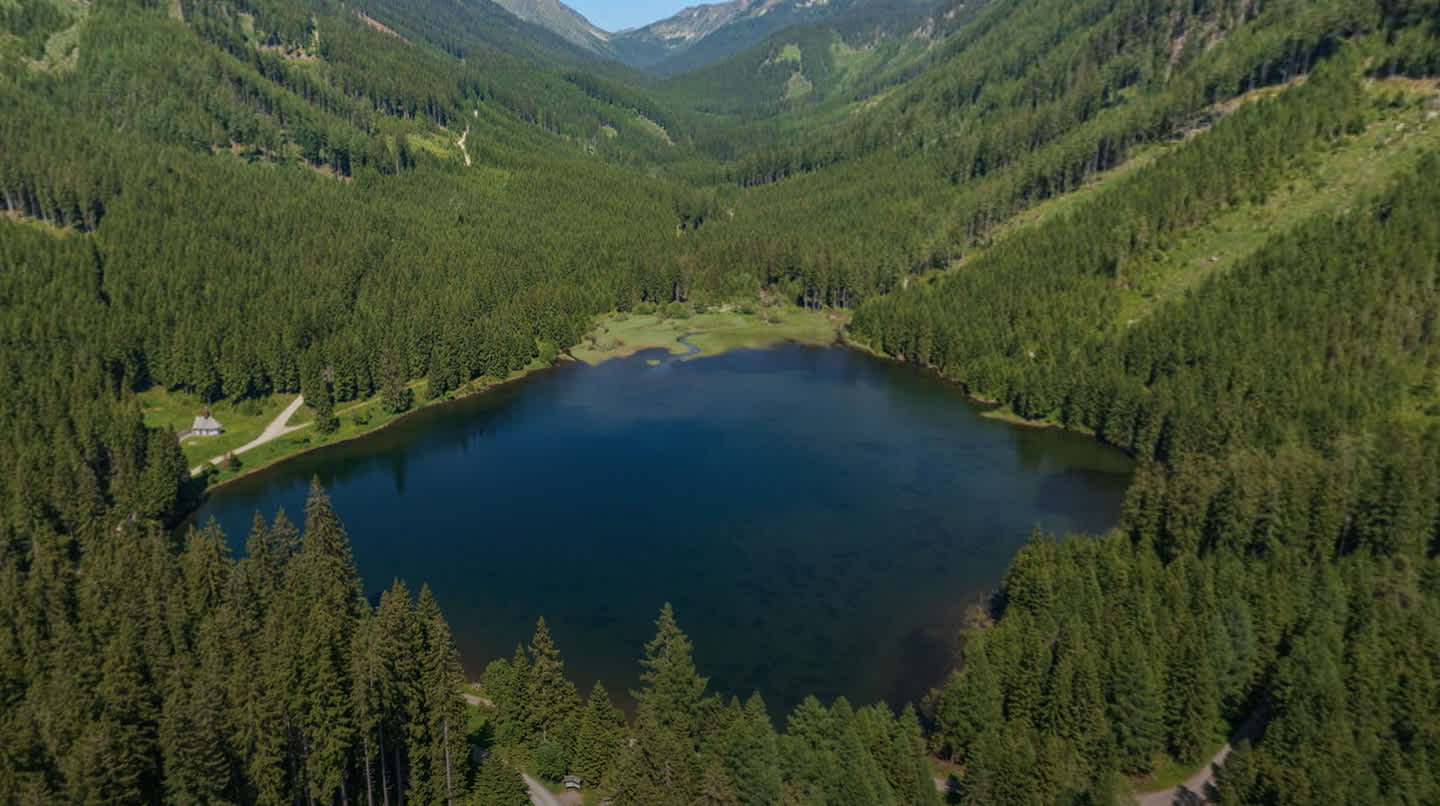Blick über den Ingeringsee auf den Klosterwald