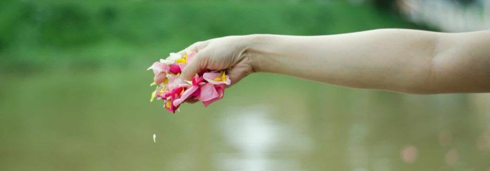 Description of my image