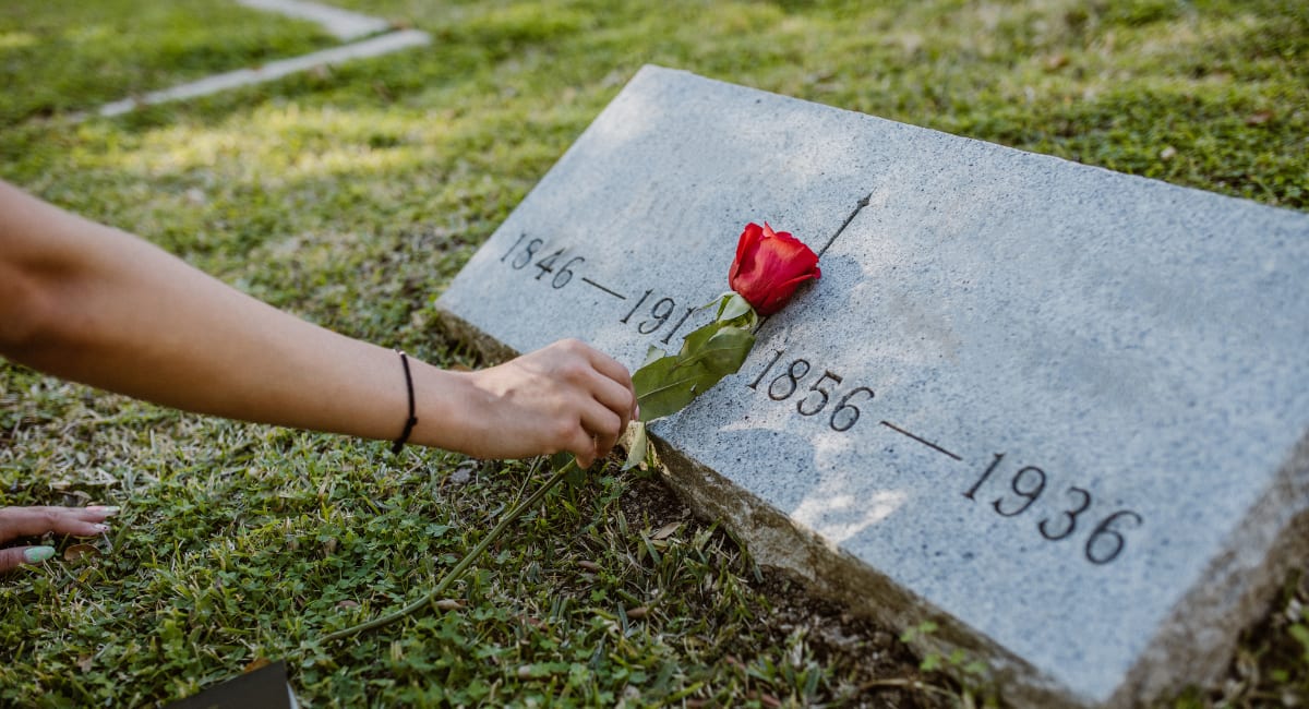 Description of my image