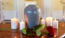 Description of my image