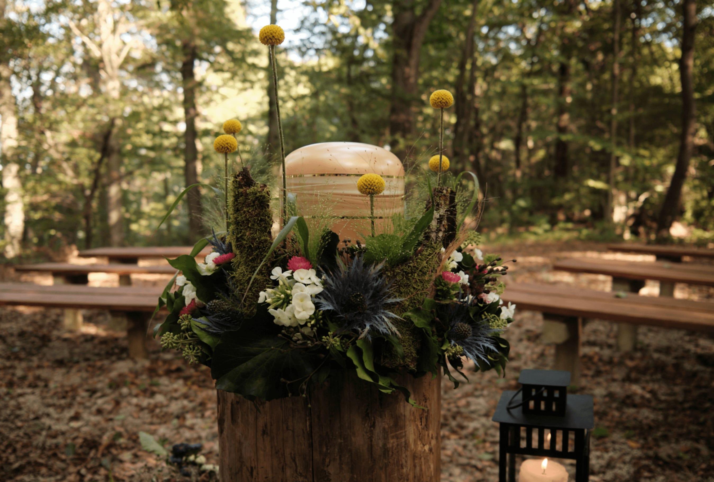 Description of my image