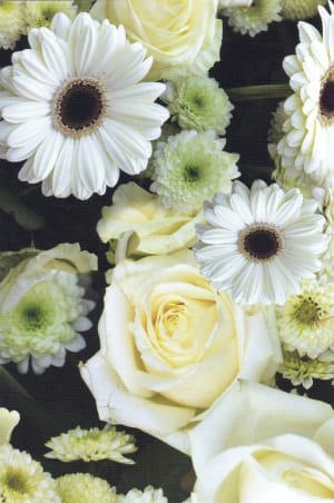 Gedenkbild „Weiße Rosen“