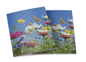 Gedenkbilder "Blumenwiese"