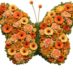 Schmetterling in Orange "Wörthersee"
