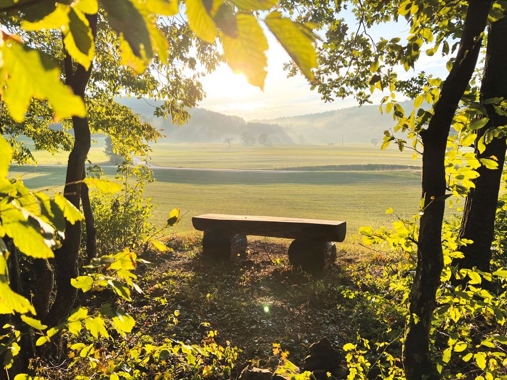 SHK_Sommer_SHK_IMG_1565_WEB.jpg