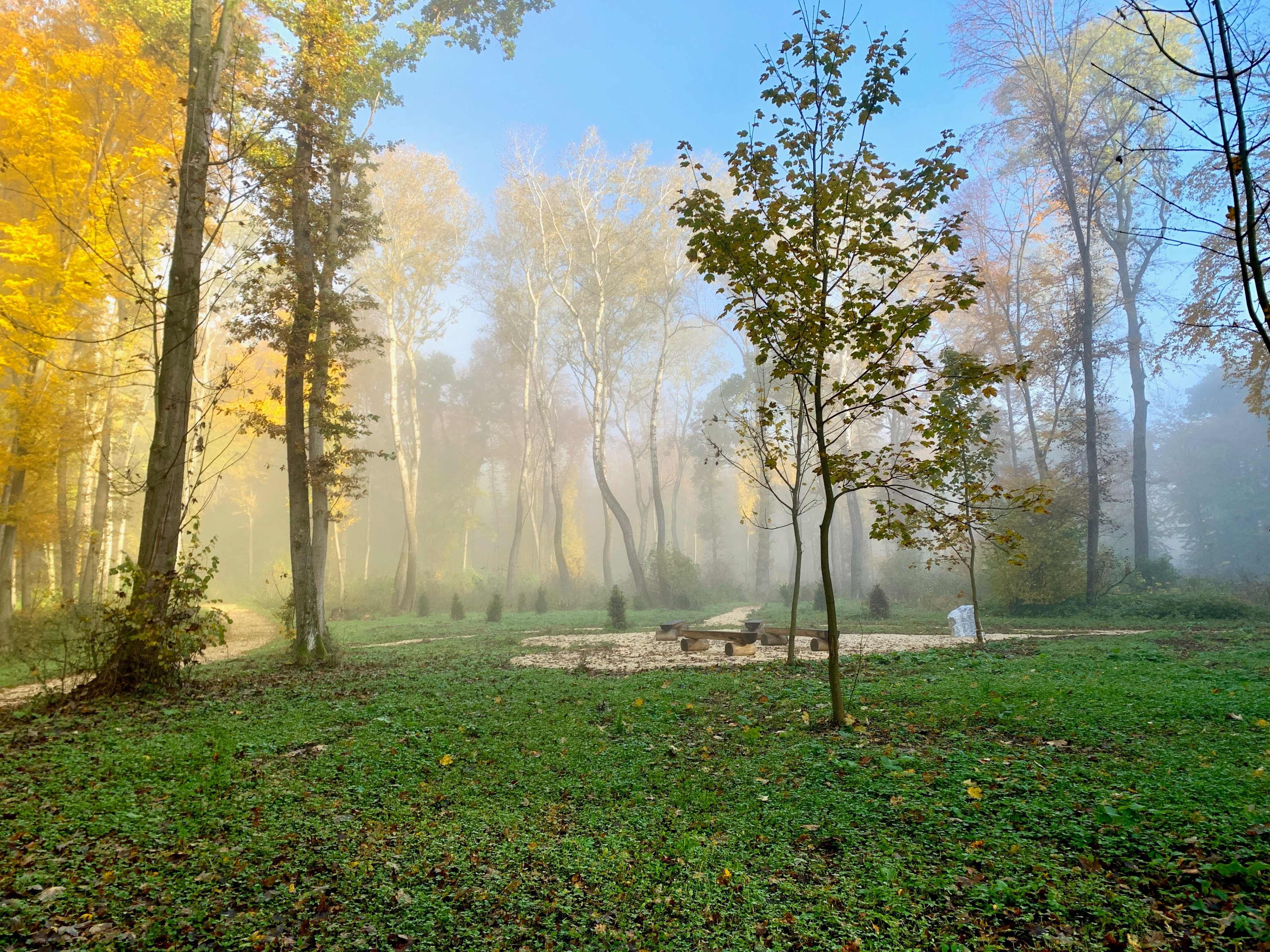 Rohrwald_Herbst_IMG_5875.jpg