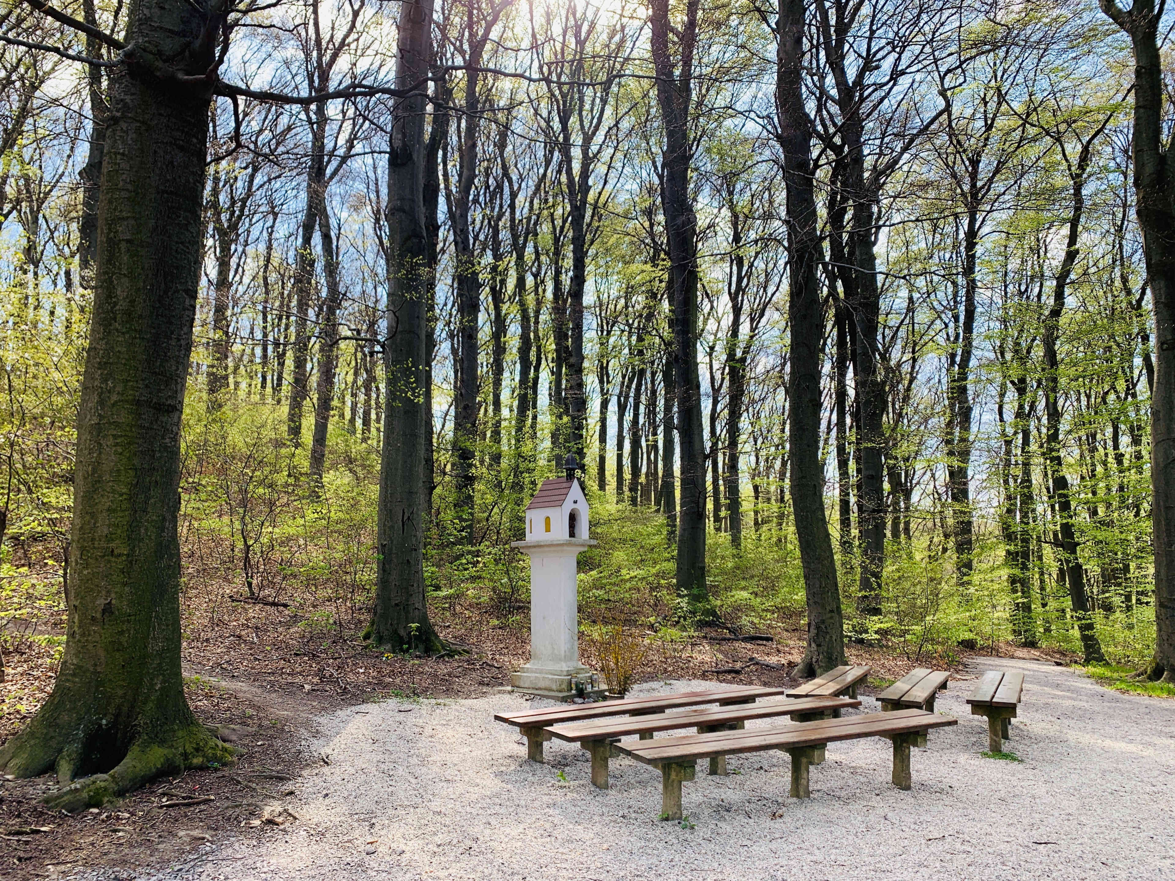 WKB_WST1_Fruehling_2020IMG_9444.jpg