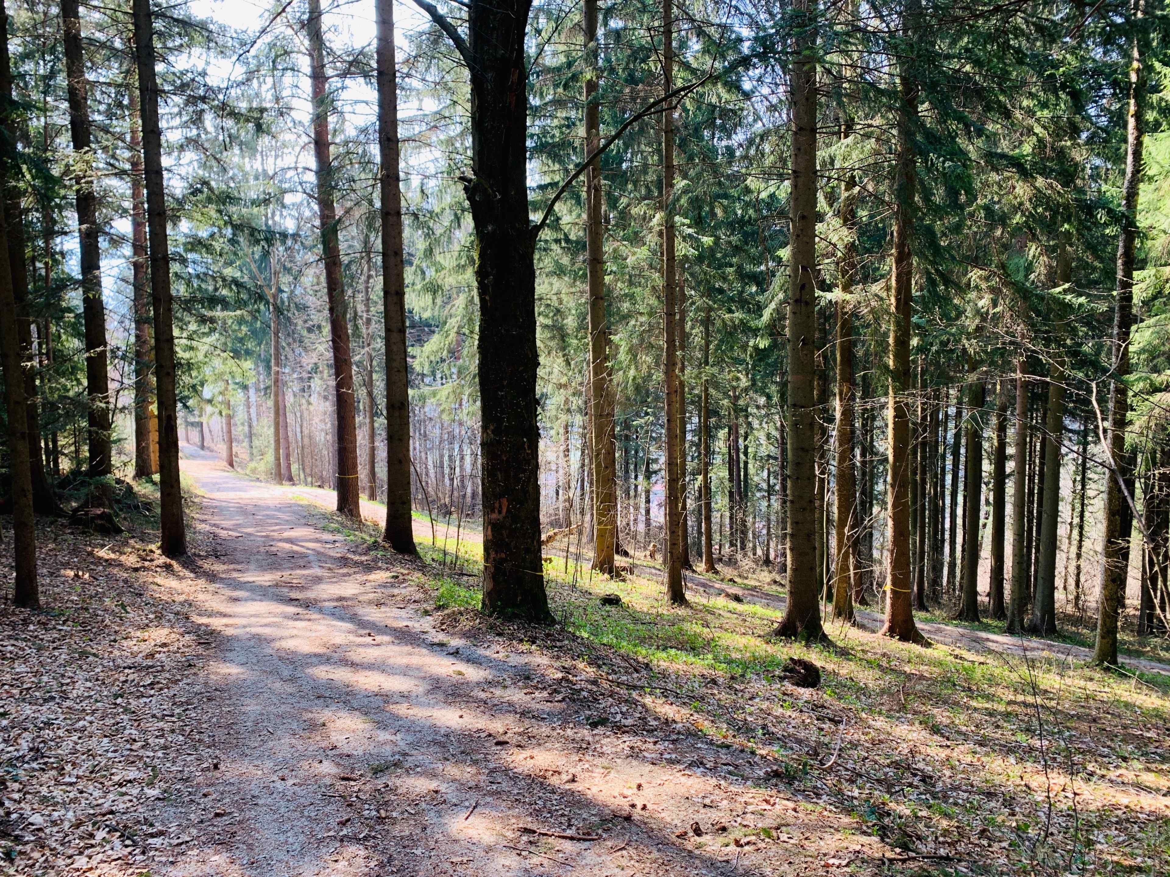 Kirchberg Weg.jpg