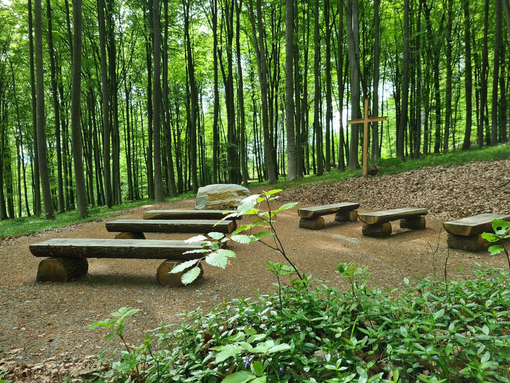 STP_Frühling_20230508_160206_WEB.jpg