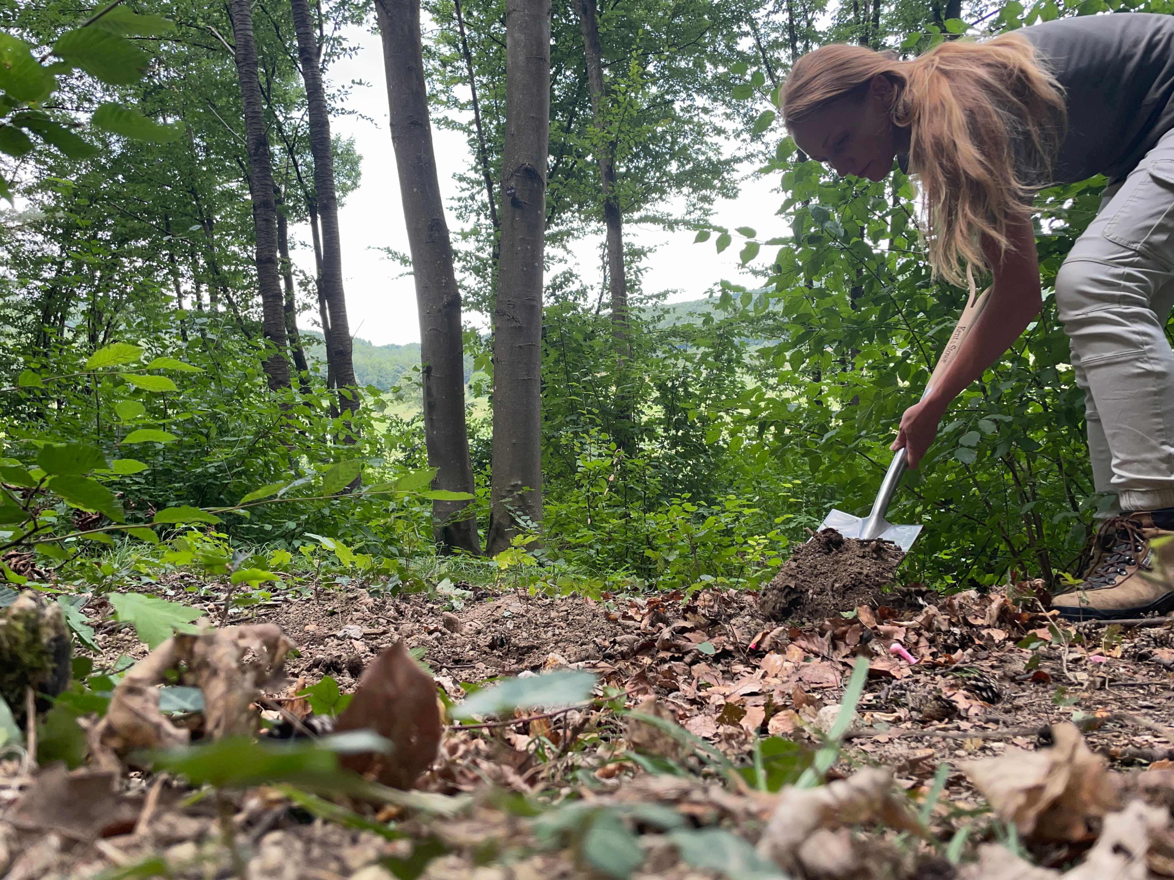 SHK_Sommer_Waldservice_IMG_4932.JPG