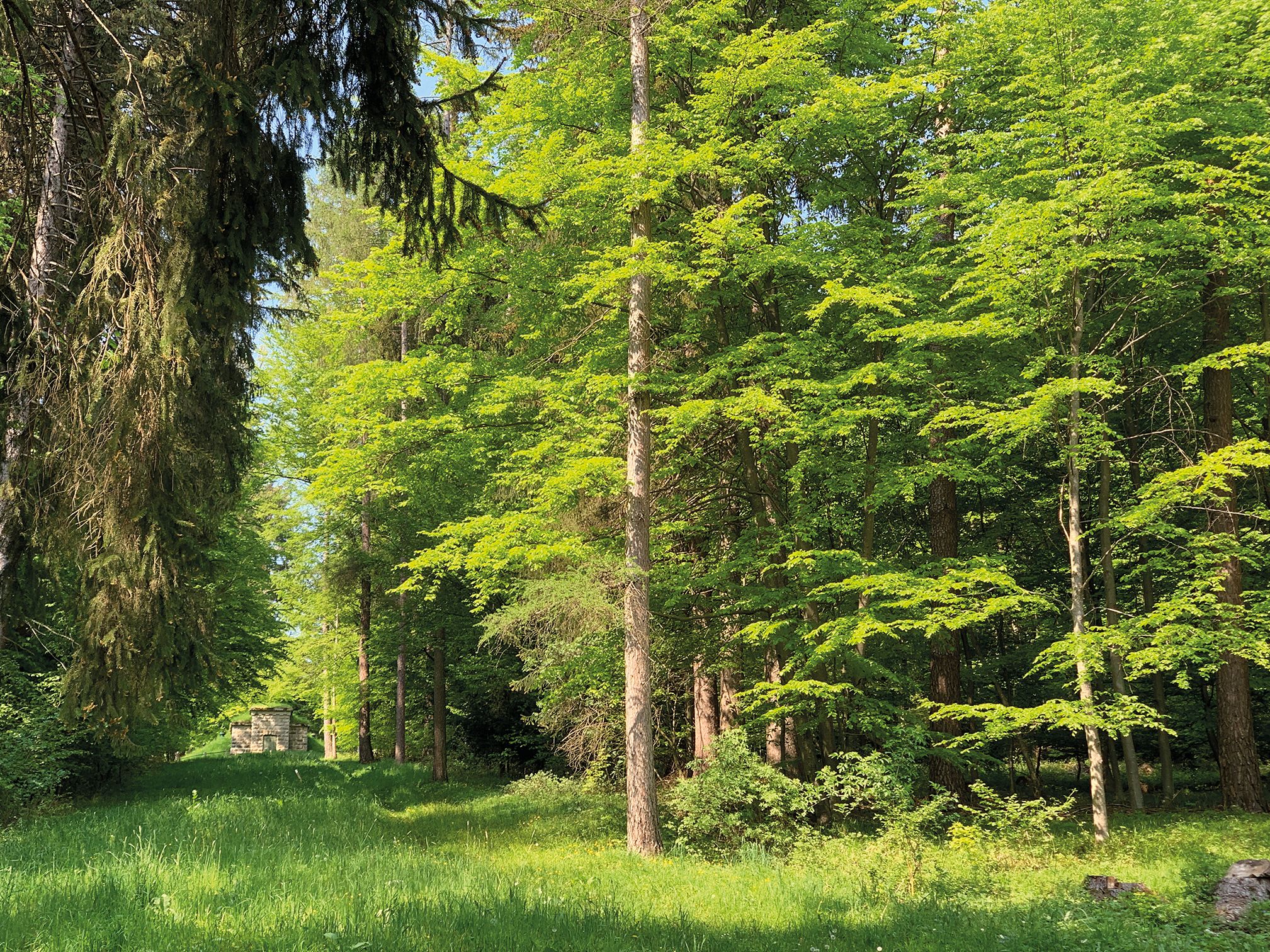 STP_Fruehling_IMG_9034_WEB_RZ.jpg