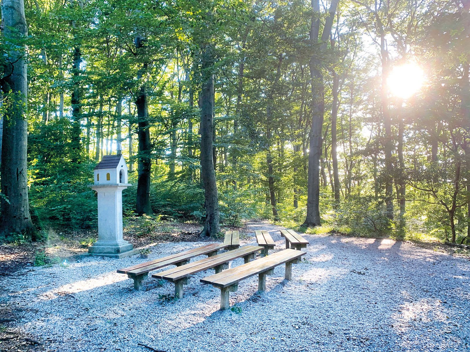 KLOSTERWALD_Kahlenberg_WST1_Sommer_4c_IMG_2404_(c)KLOSTERWALD.jpg