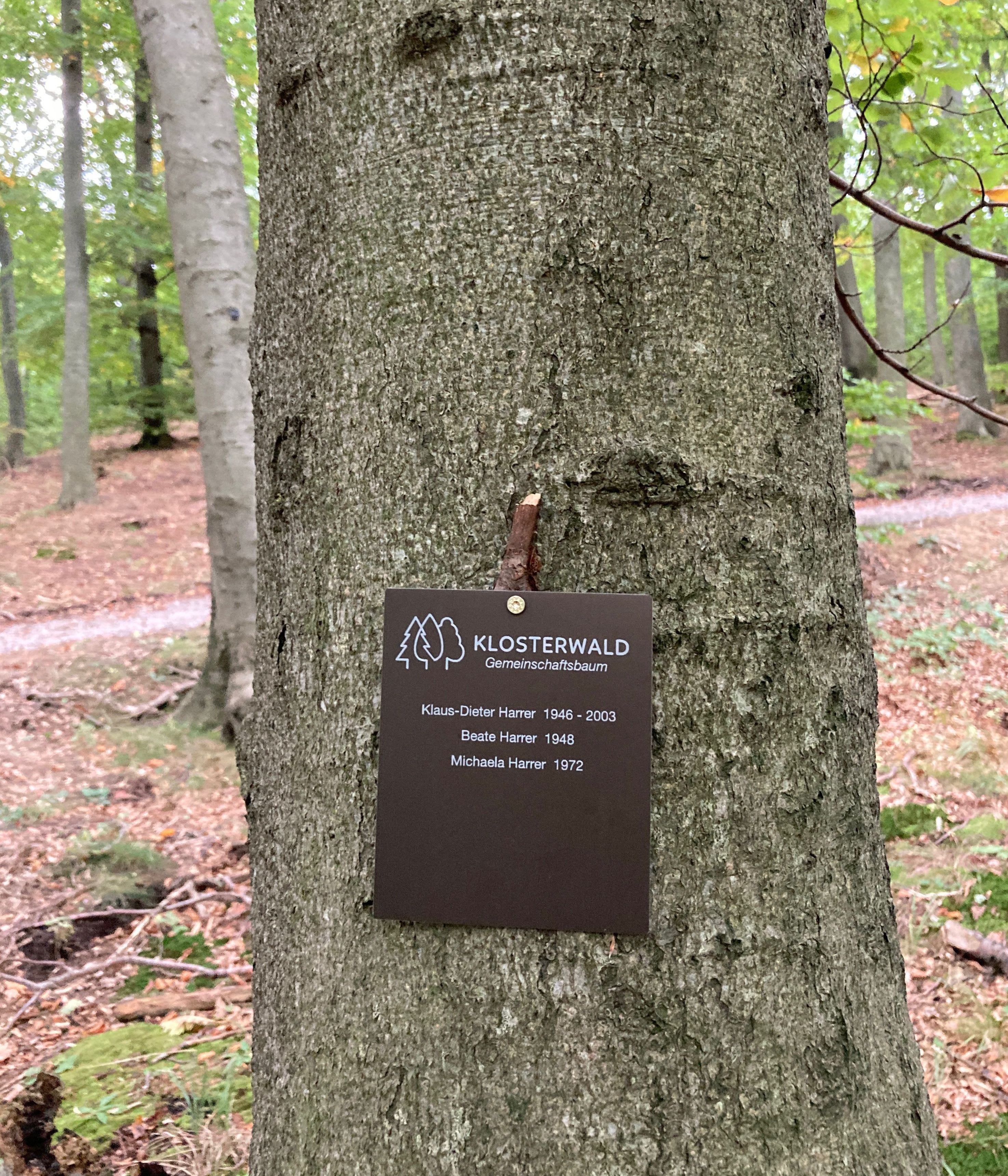 Klosterwald.jpg