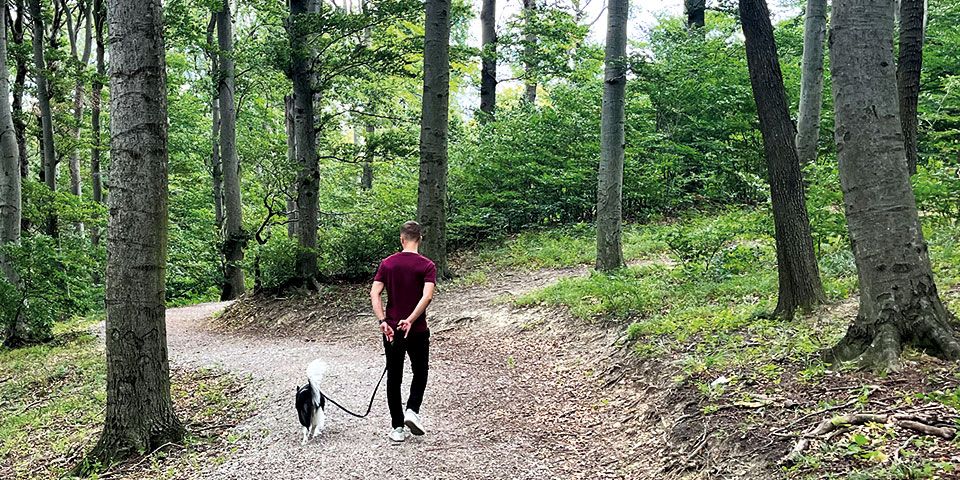 WKB_Sommer_Hunde_IMG_7931_quer__4c_RZ2.jpg
