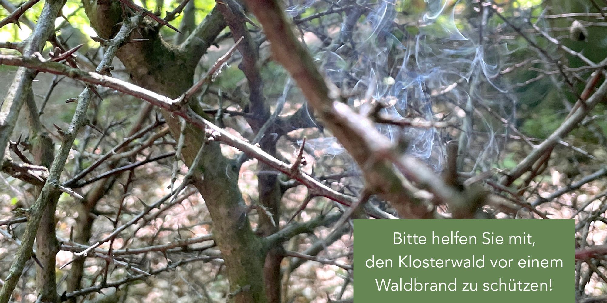 Blog_Waldbrandgefahr_960x480px_V01.jpg