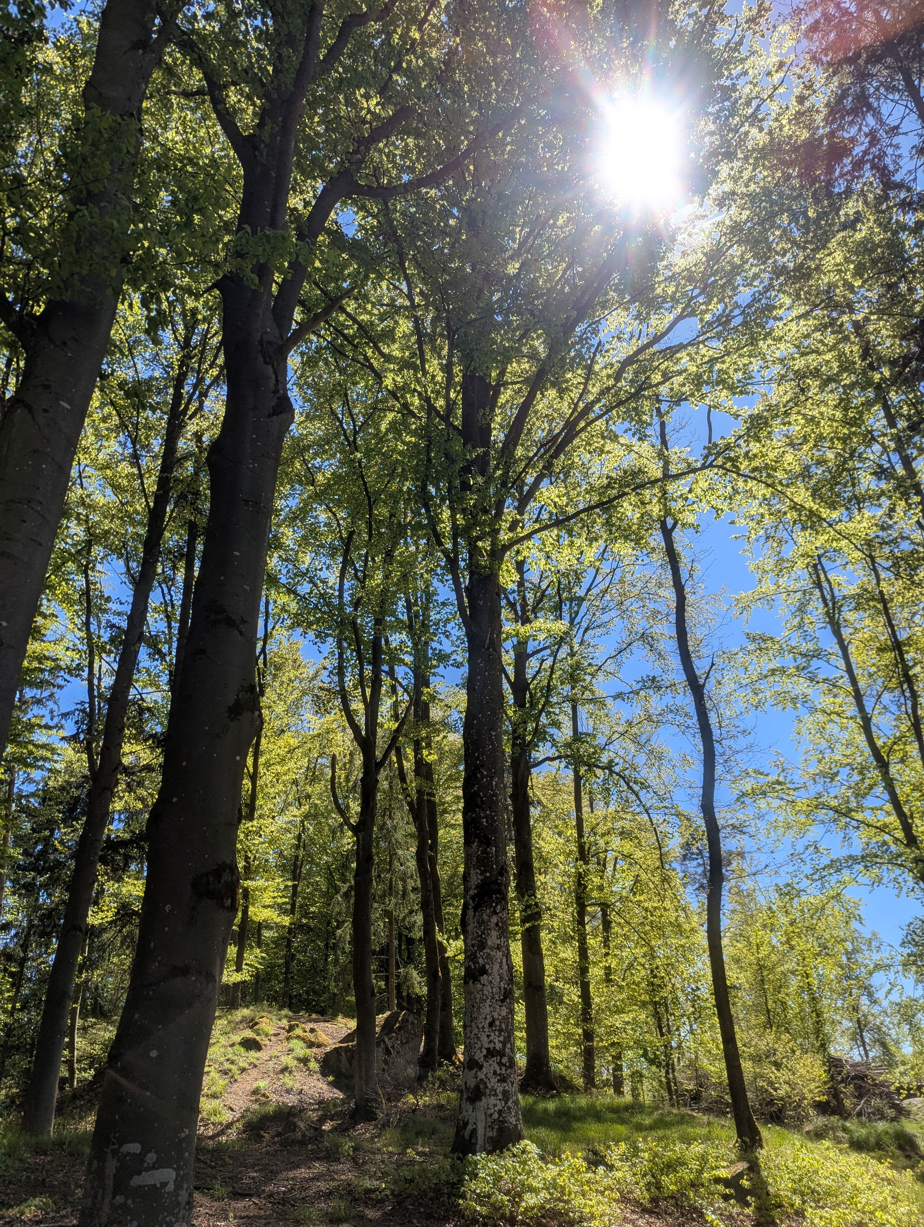 FRE_PXL_20260430_113553009.jpg