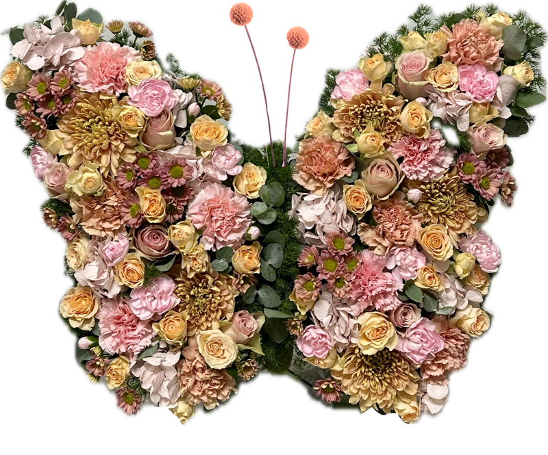 Schmetterling in Pastell "Güte"