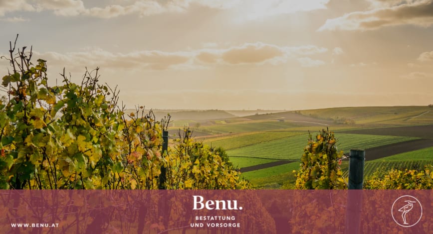 Description of my image