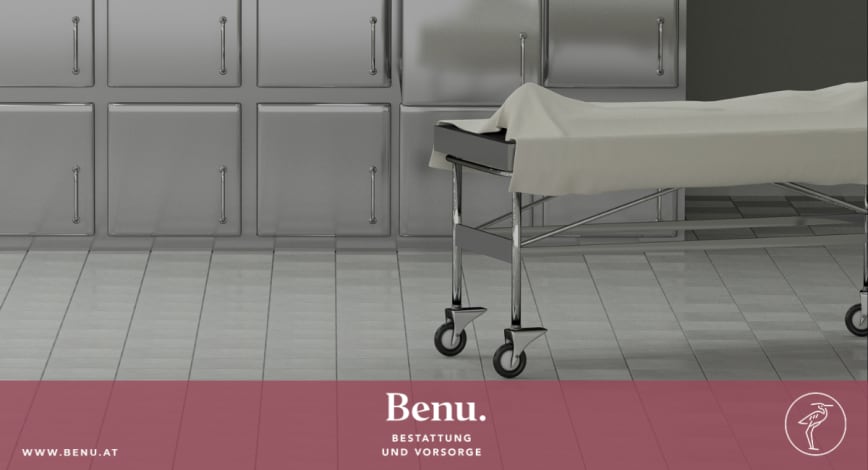 Description of my image