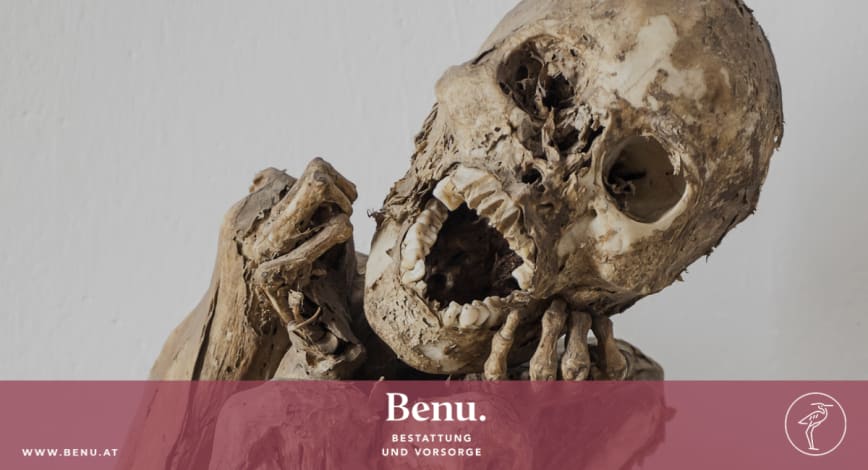 Description of my image