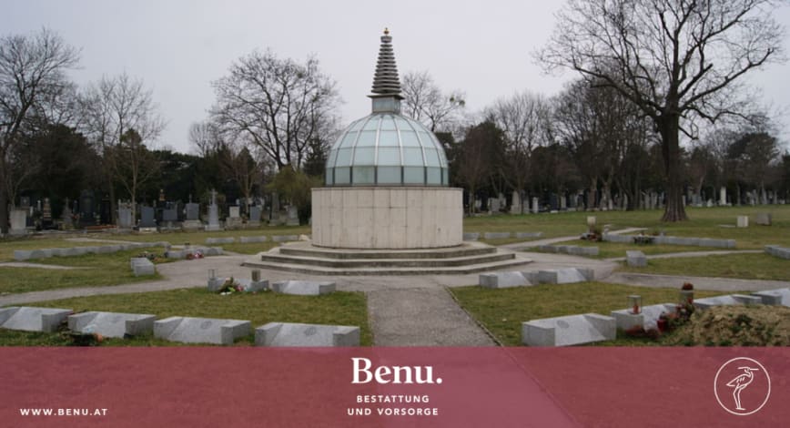 Description of my image