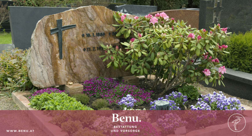 Description of my image