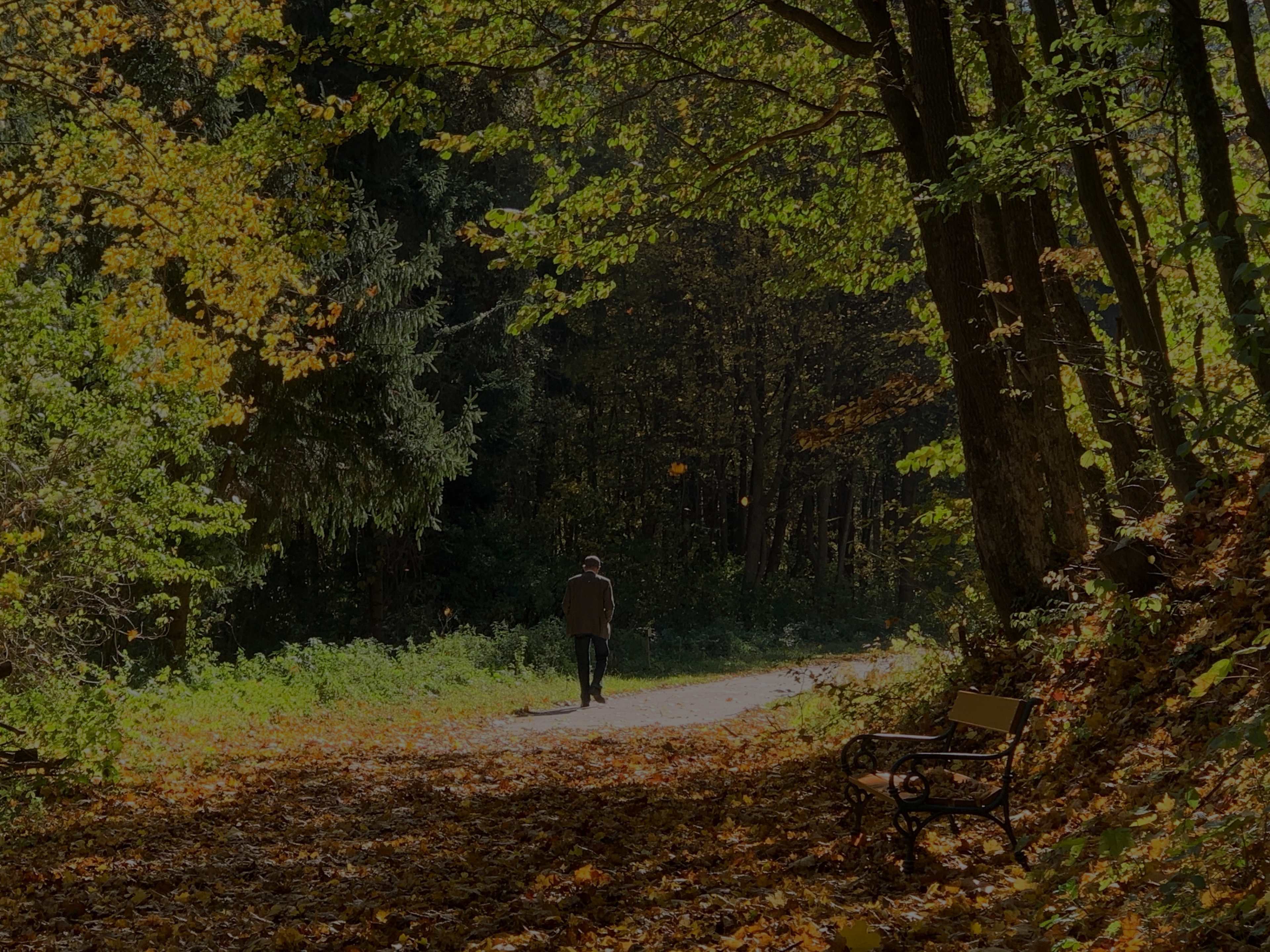 SHK_Herbst_IMG_4414.jpg