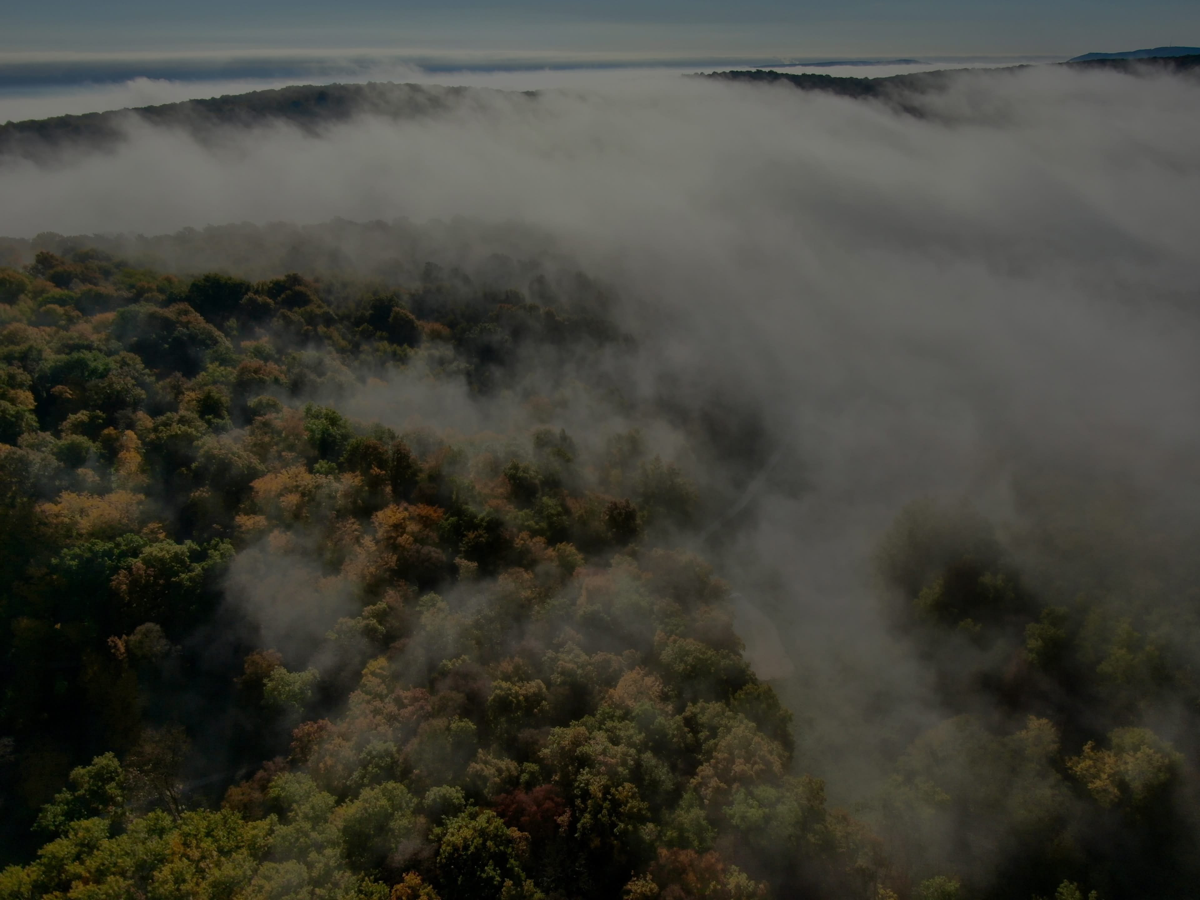 Rohrwald_Herbst_IMG_5880.jpg