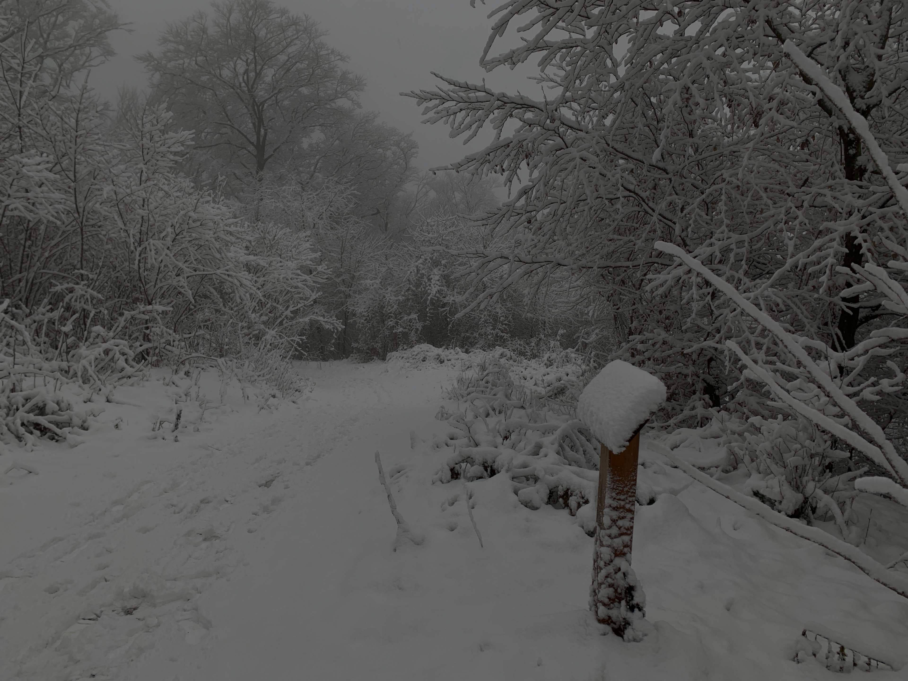 WKB_Winter_Weg_IMG_7510.JPG