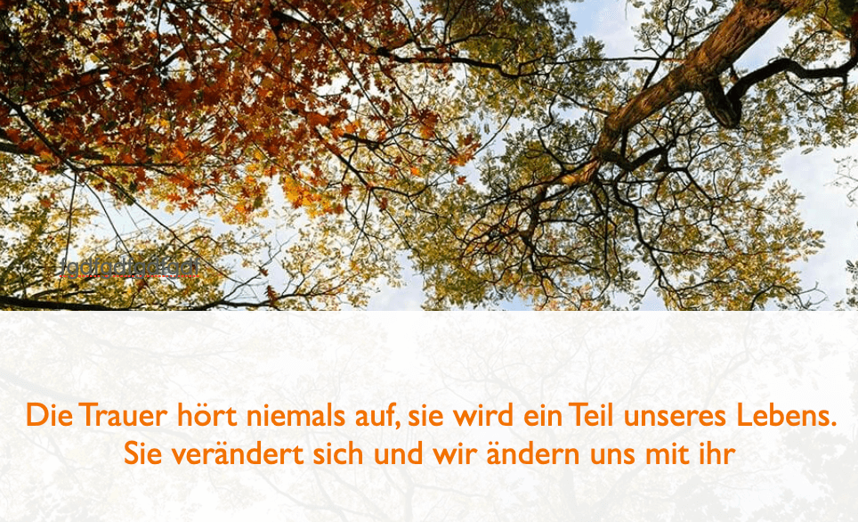 198 Schone Trauerspruche Zur Beileidsbekundung Benu