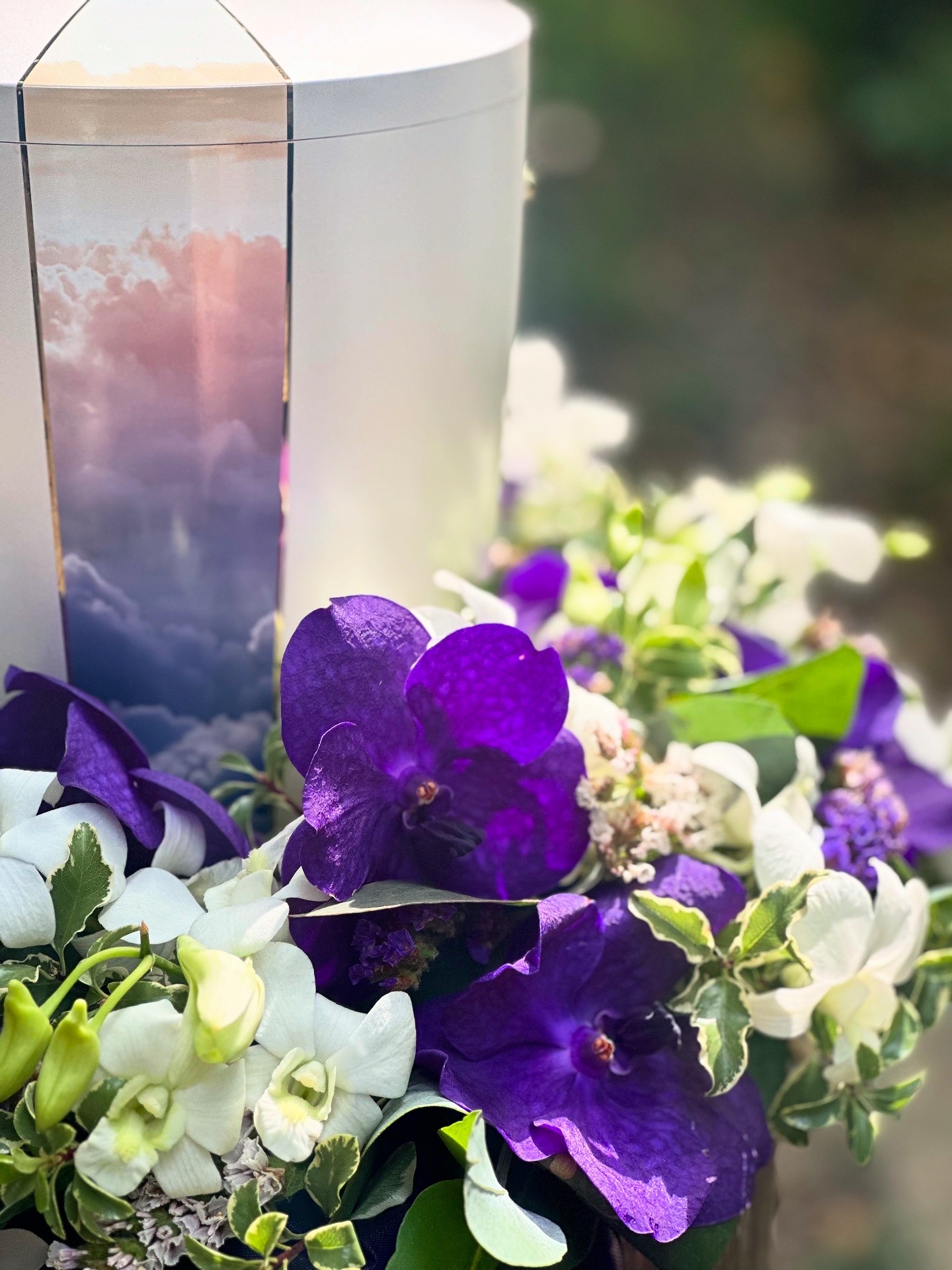 Urnenkranz Orchidee