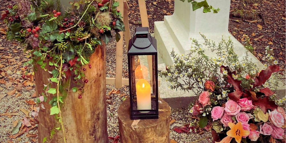 Kosten Baumbestattung Ist eine Baumbestattung teuer? Benu