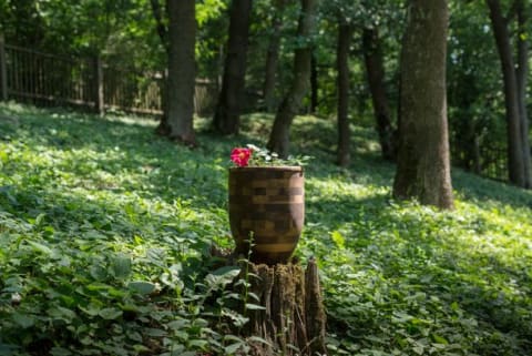 Fotographie einer Urne bei einer Trauerfeier im Wald.