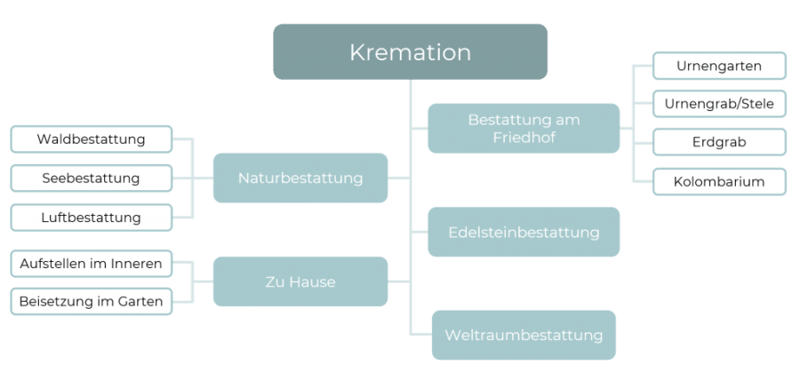 Infografik zur Darstellung der Unterschiedlichen Bestattungsmöglichkeiten nach einer Kremation: Naturbestattung, Urne zu Hause, Bestattung am Friedhof, Edelsteinbestattung, Weltraumbestattung.