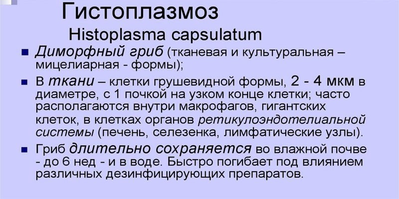 Противогрибковые капли в нос