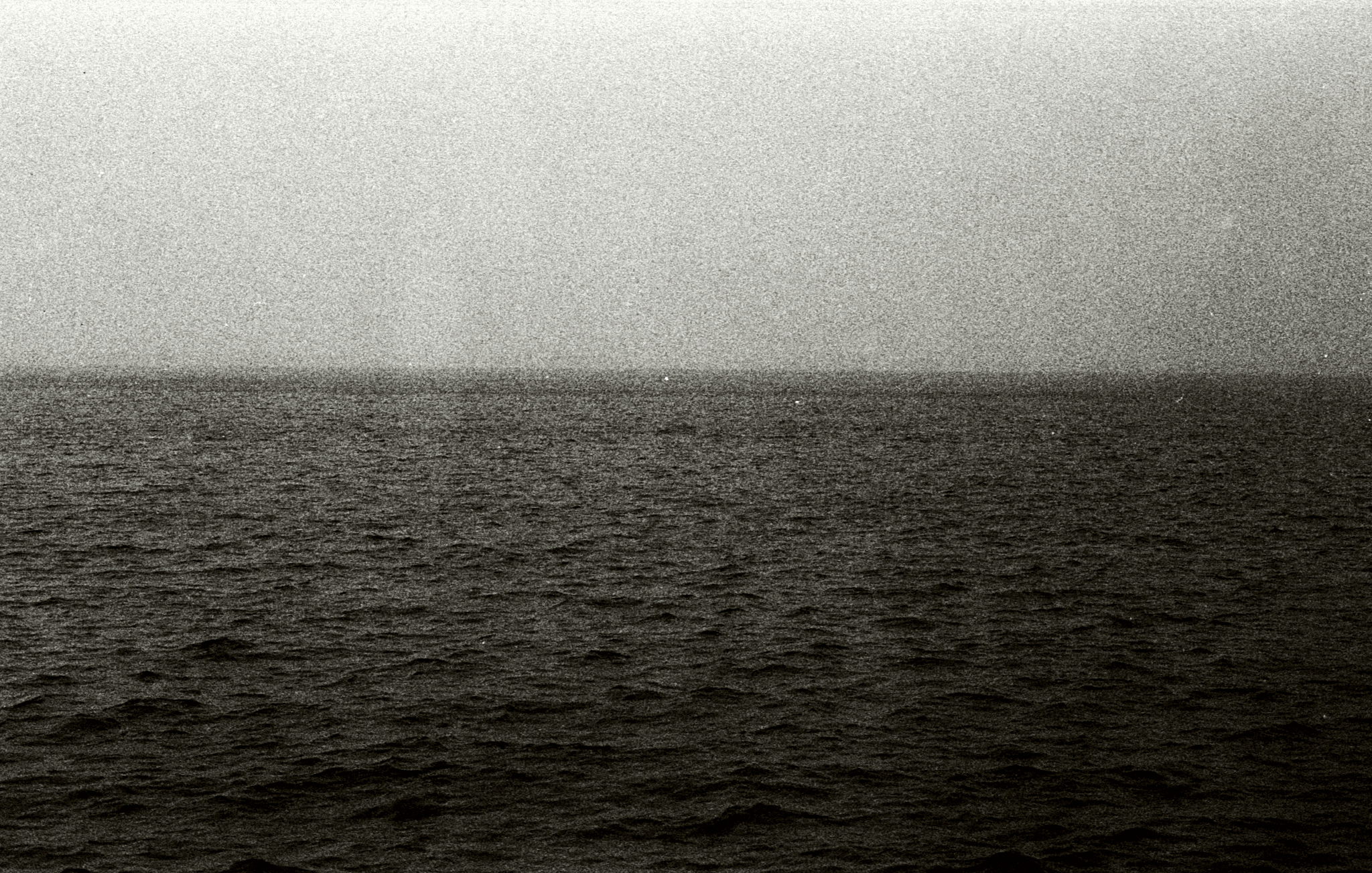 leica551 1_sm_web_use.jpg