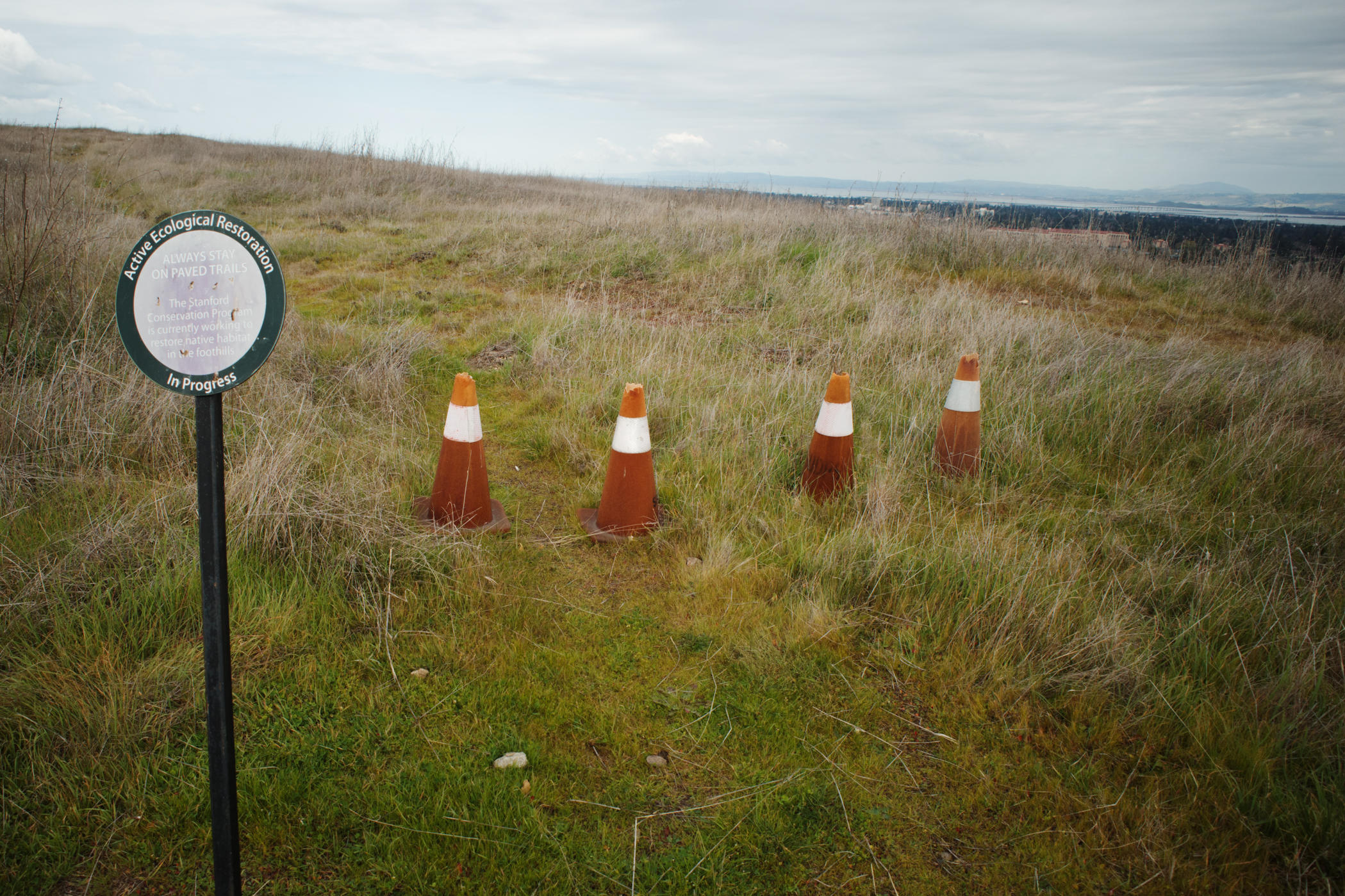 On the Edge of City 2025