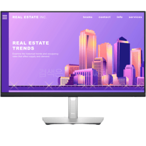 monitor_P2422H