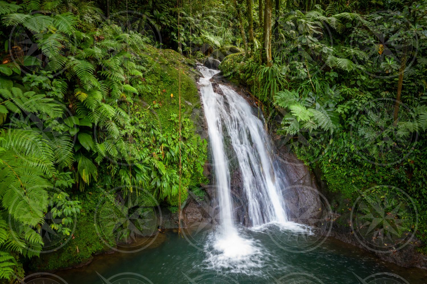 Cascade aux Écrevisses Waterfall, Guadeloupe