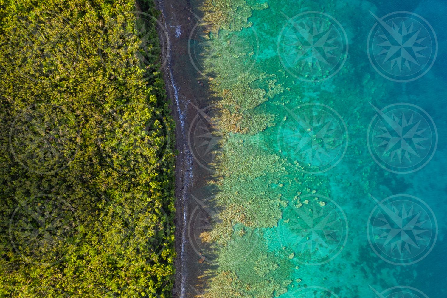 Dominica shoreline