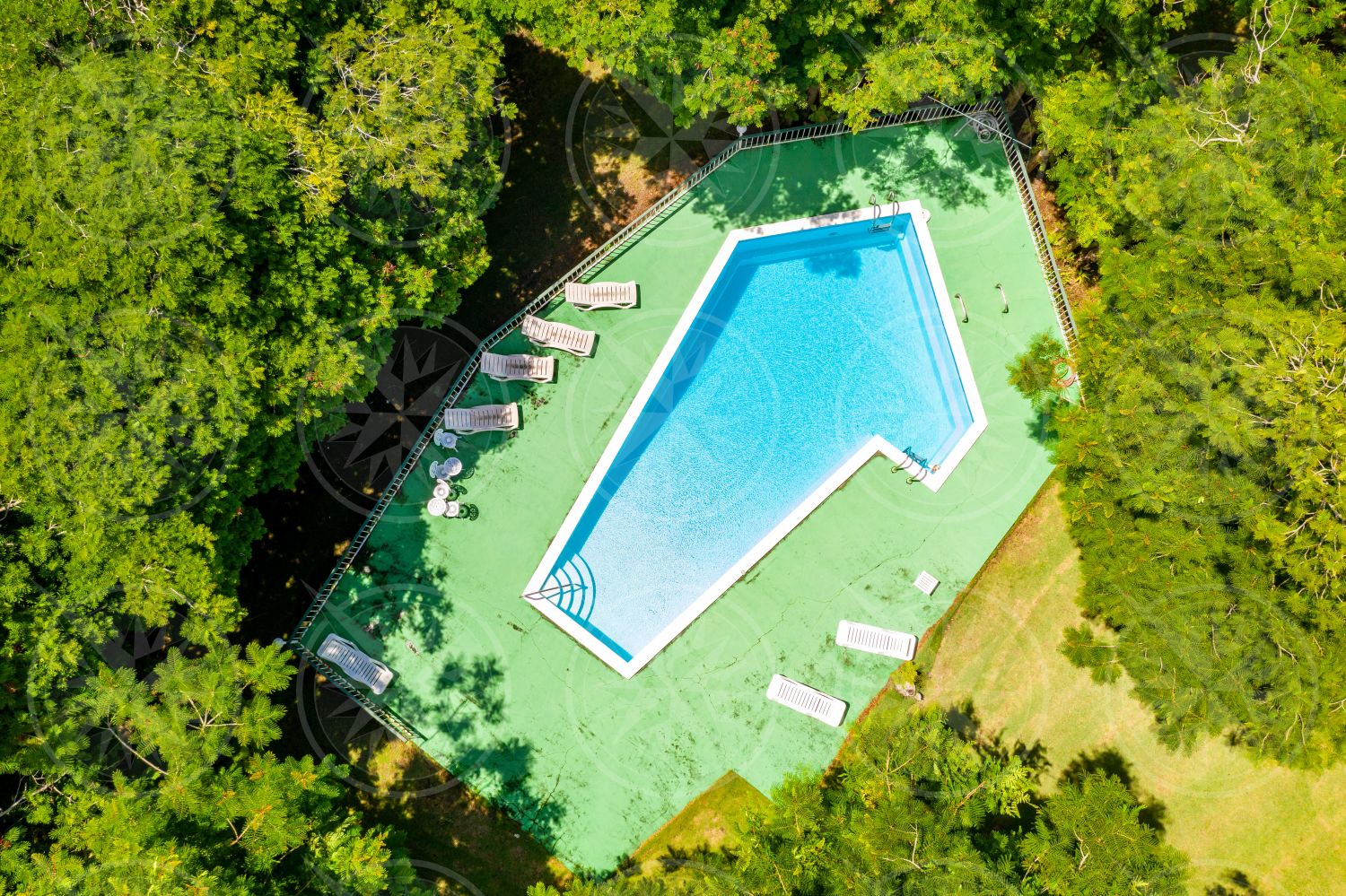 Olveston House Pool