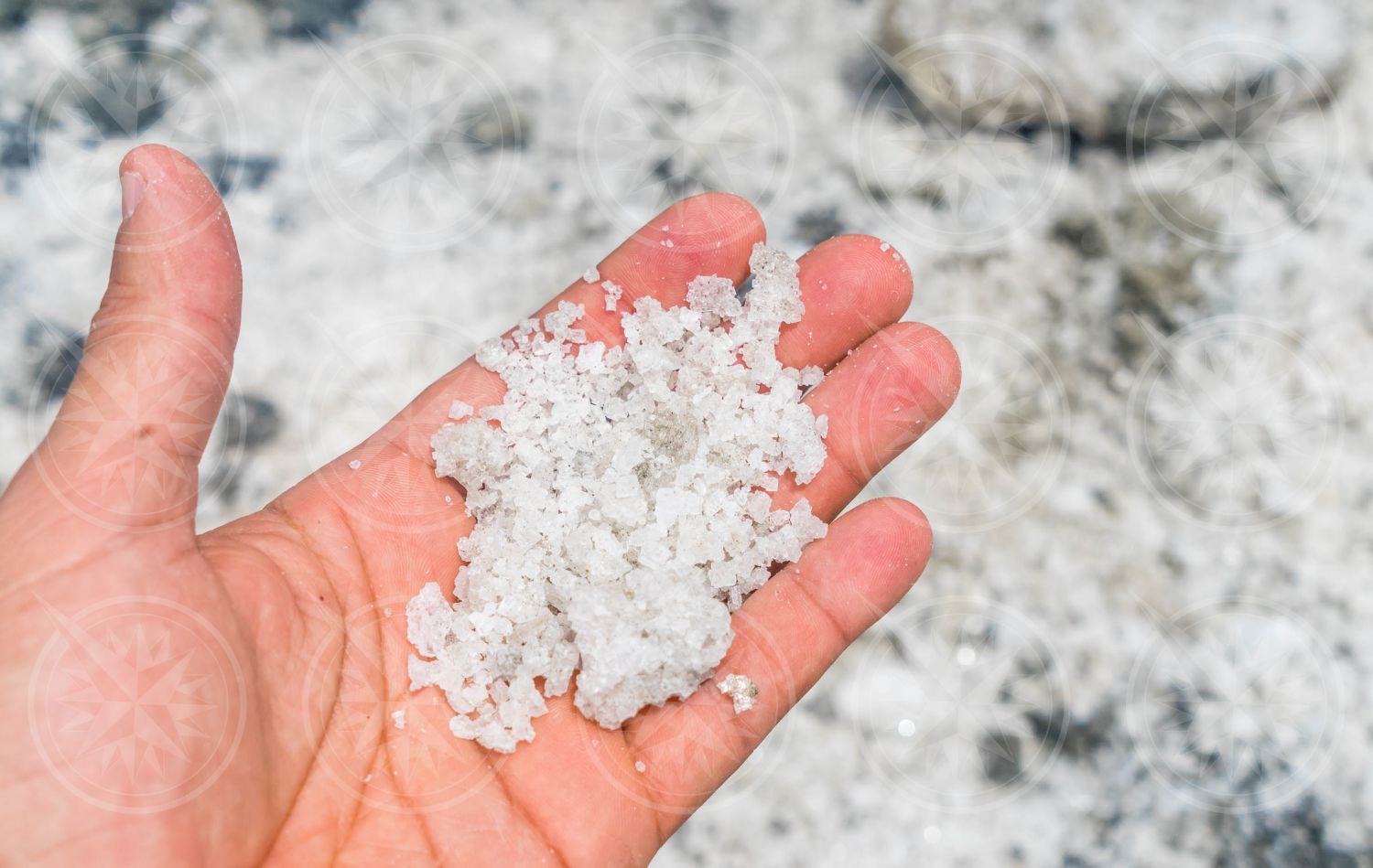 Hand harvested salt