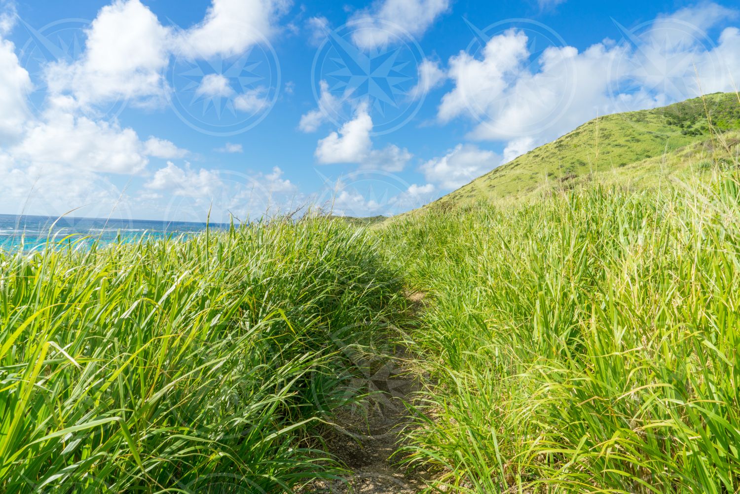 Hiking path