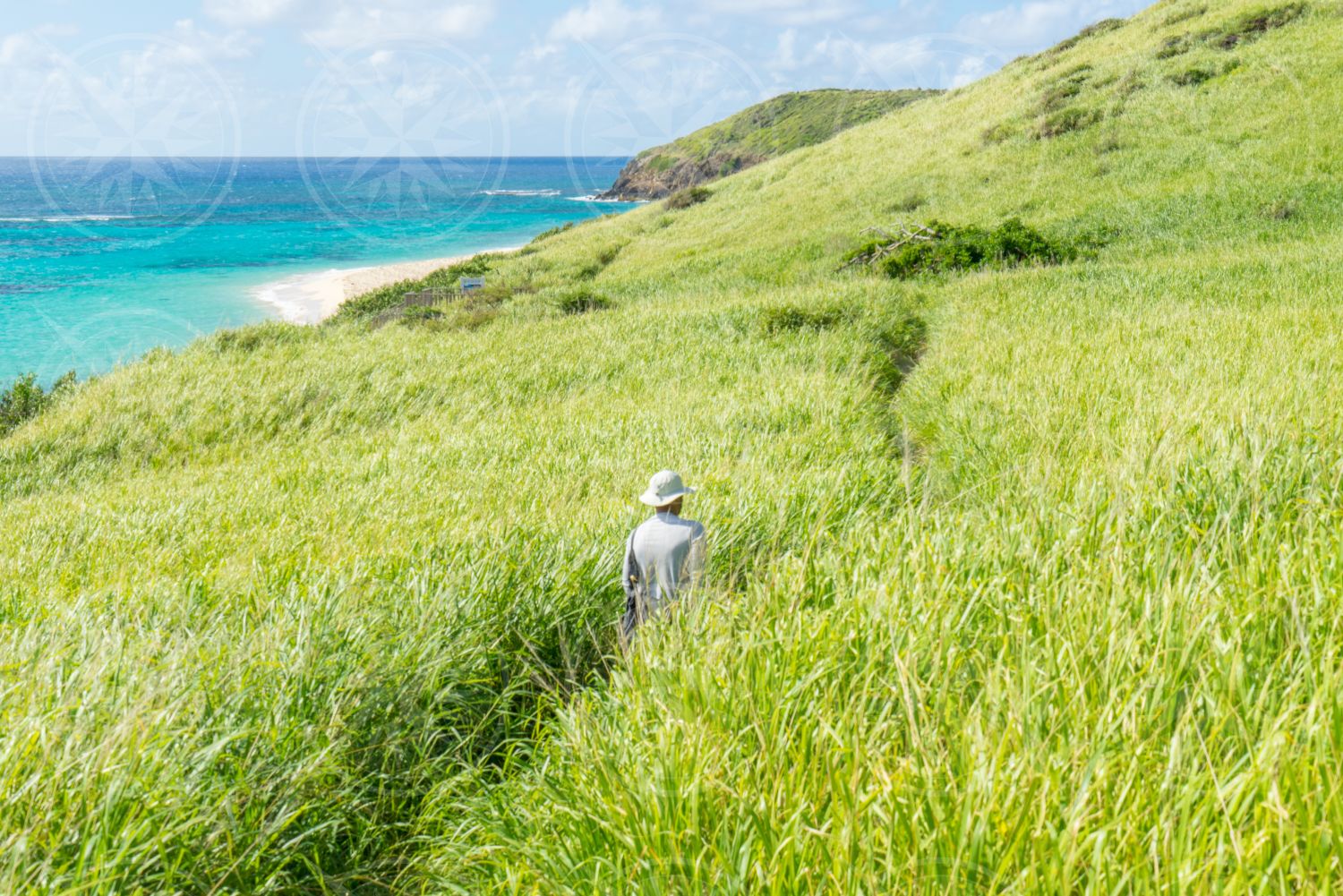 Hiking through grass