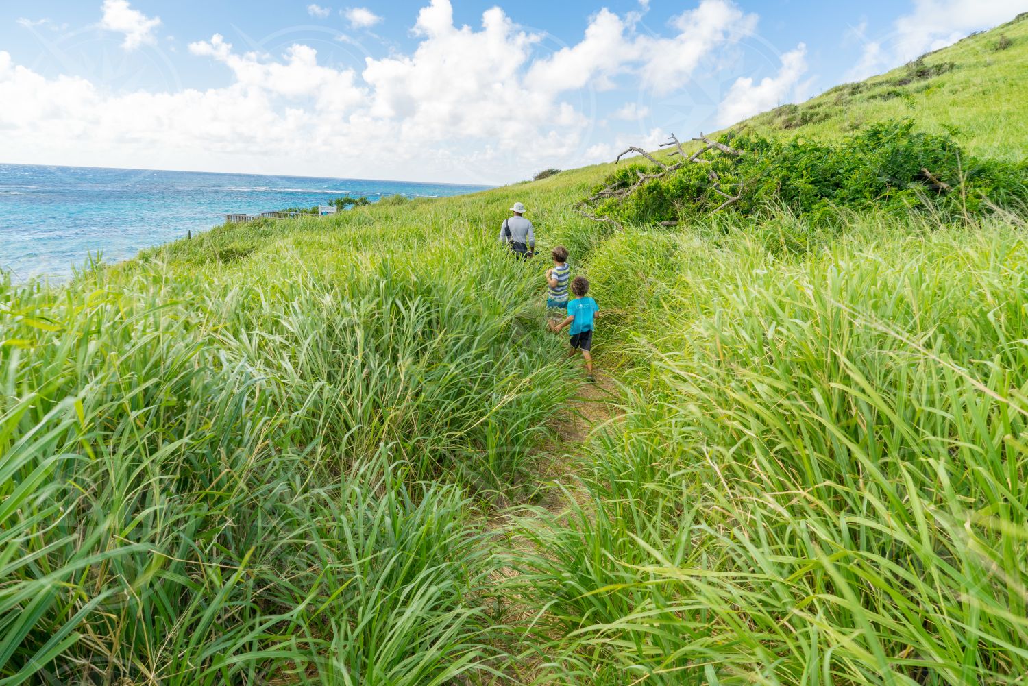 Hiking with boys